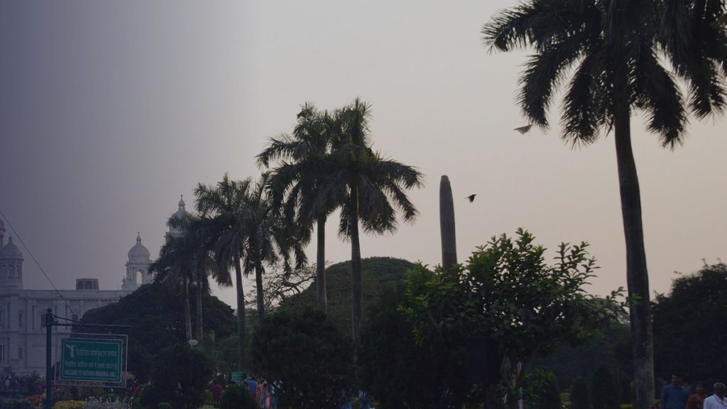 Palm trees and a monument silhouetted against the evening sky